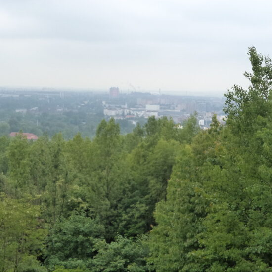 Předchozí
