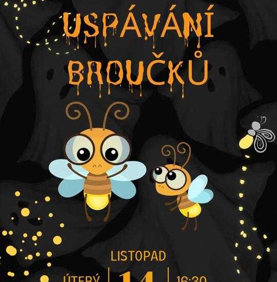 Předchozí